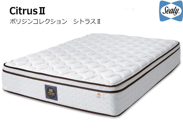 ポリジンコレクション